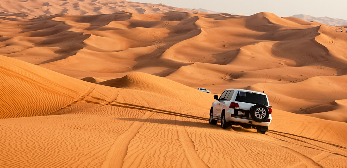 Elevate Your Driving Experience with Havoline and Techron